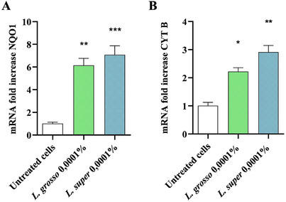 PMC12270360 – cbdv202403478-fig-0003