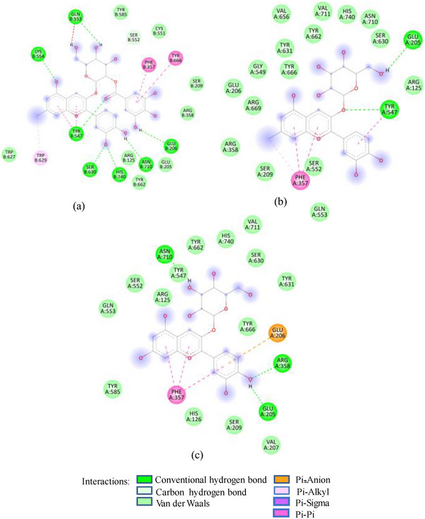 PMC12270376 – d101e973