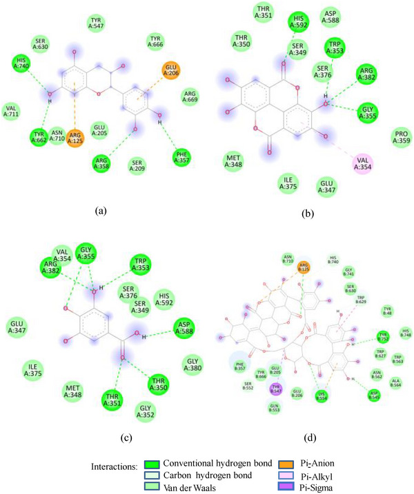 PMC12270376 – d101e981