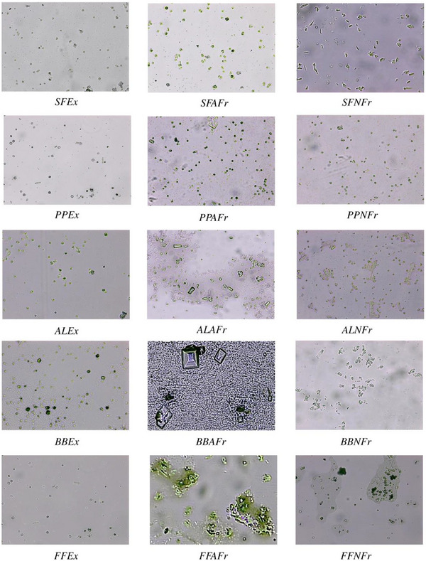 PMC12270373 – cbdv202500023-fig-0002