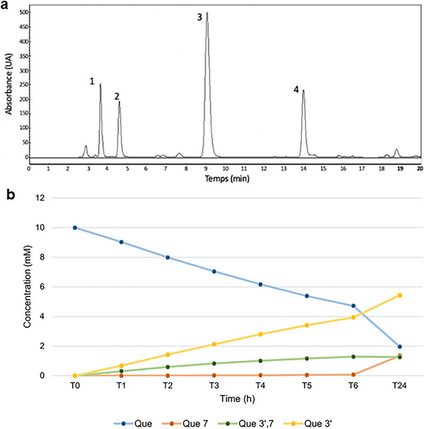 PMC12351435 – cbdv202500119-fig-0002