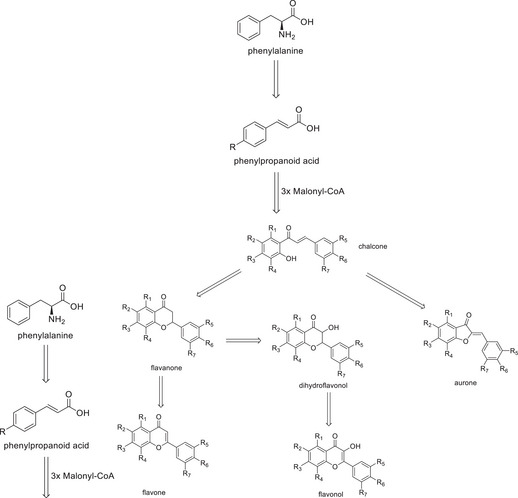 PMC12435399 – cbdv202500174-fig-0001