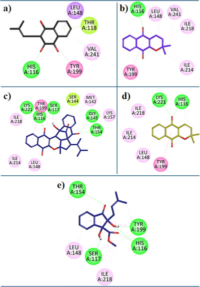 PMC12435400 – cbdv202500449-fig-0004