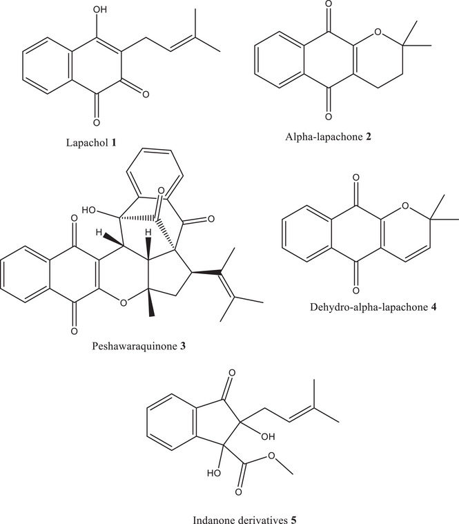 PMC12435400 – cbdv202500449-fig-0001