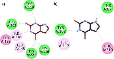 PMC12435400 – cbdv202500449-fig-0003
