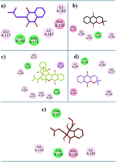 PMC12435400 – cbdv202500449-fig-0005