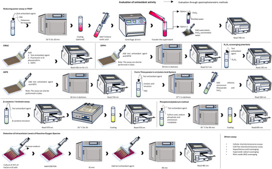 PMC12435438 – cbdv202500530-fig-0007