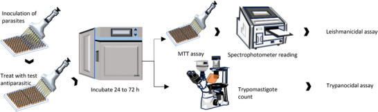 PMC12435438 – cbdv202500530-fig-0006