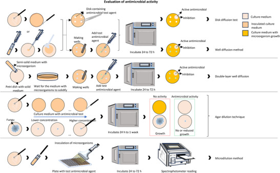 PMC12435438 – cbdv202500530-fig-0005