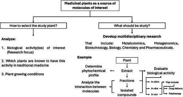 PMC12435438 – cbdv202500530-fig-0004