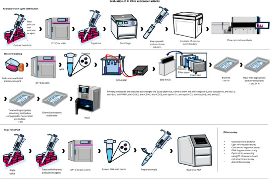PMC12435438 – d101e30173