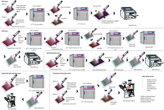 PMC12435438 – d101e30175