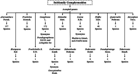 PMC12435438 – cbdv202500530-fig-0002