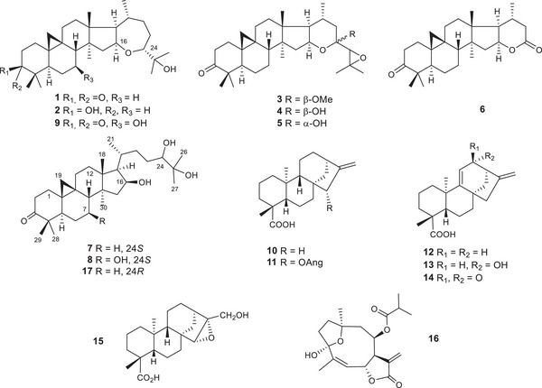PMC12435401 – cbdv202500917-fig-0001
