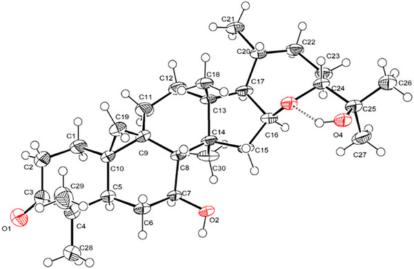 PMC12435401 – cbdv202500917-fig-0002