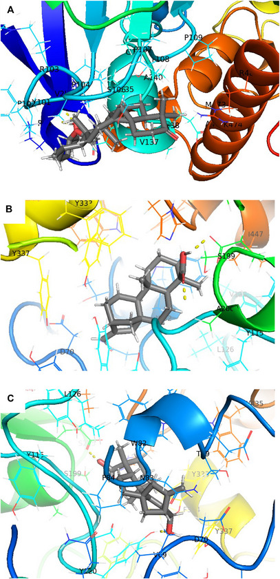 PMC12435401 – cbdv202500917-fig-0003