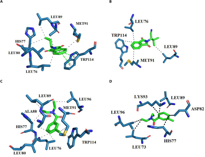 PMC12761363 – cbdv70655-fig-0002