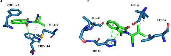 PMC12761363 – cbdv70655-fig-0005