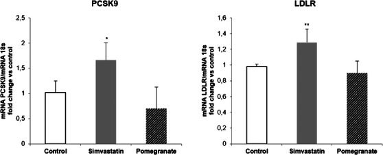 PMC12761359 – cbdv70644-fig-0002