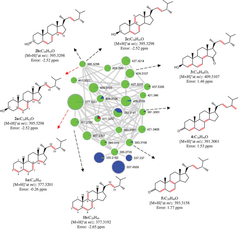 PMC12761365 – cbdv70690-fig-0004