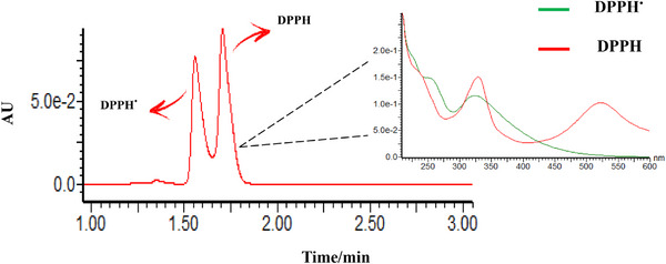 PMC12761365 – cbdv70690-fig-0007