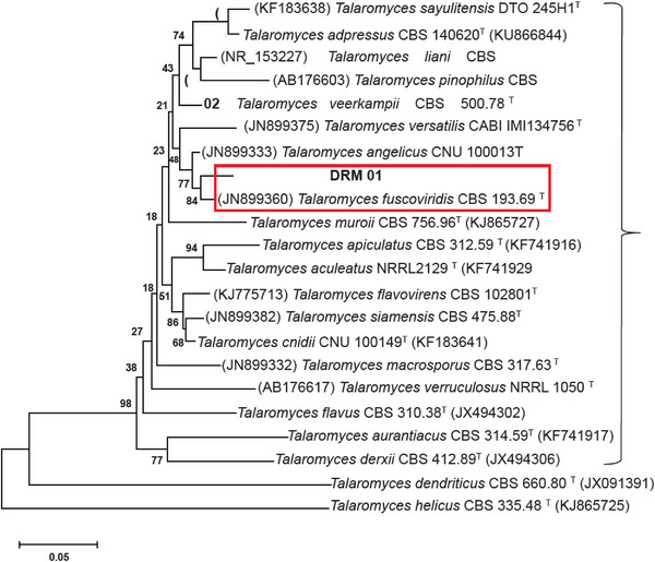 PMC12761365 – cbdv70690-fig-0002