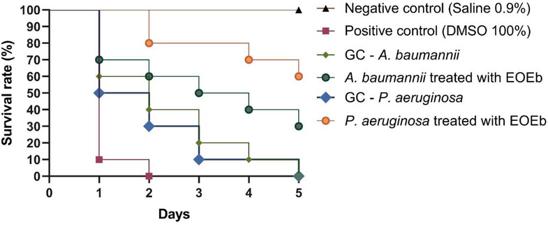 PMC12761354 – cbdv70616-fig-0004