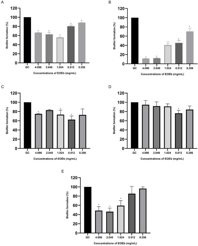 PMC12761354 – cbdv70616-fig-0002