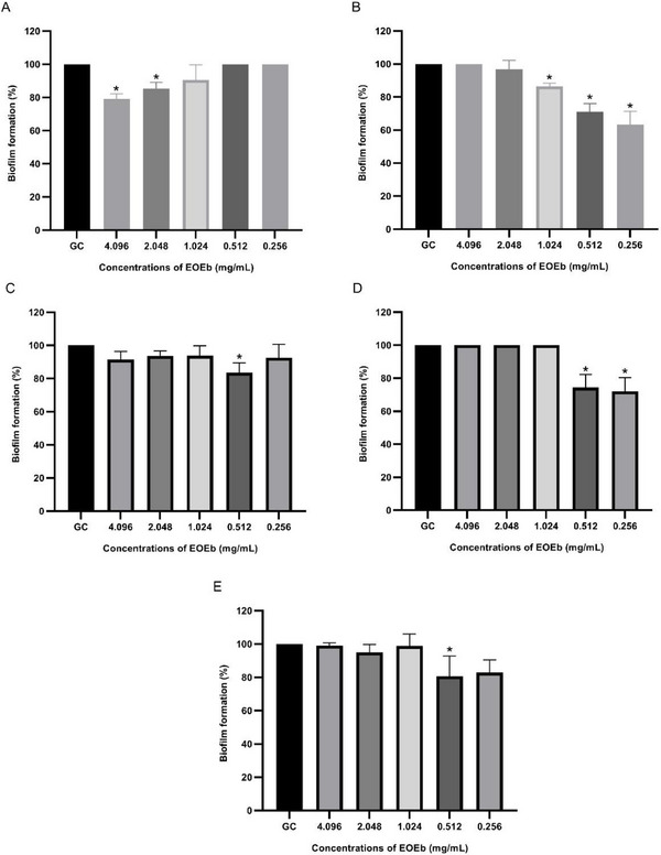 PMC12761354 – cbdv70616-fig-0001