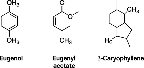 PMC12761357 – cbdv70612-fig-0001