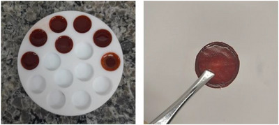 PMC12761349 – cbdv70619-fig-0004