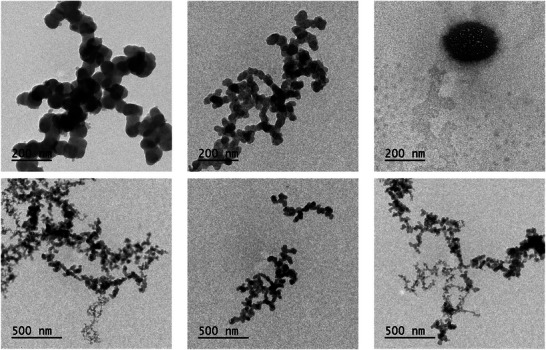 PMC12761349 – cbdv70619-fig-0001