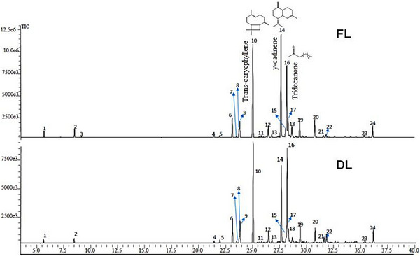 PMC12802534 – cbdv70896-fig-0001