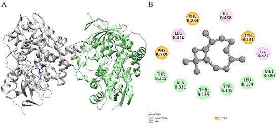 PMC12802534 – cbdv70896-fig-0002
