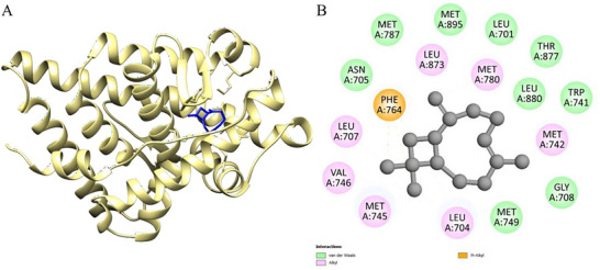 PMC12802534 – cbdv70896-fig-0006