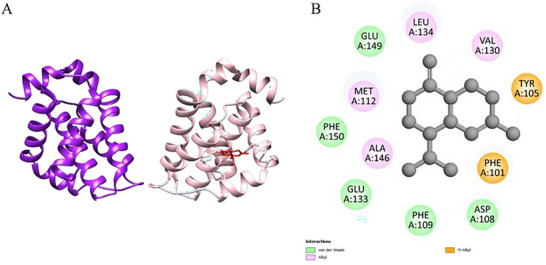 PMC12802534 – cbdv70896-fig-0005