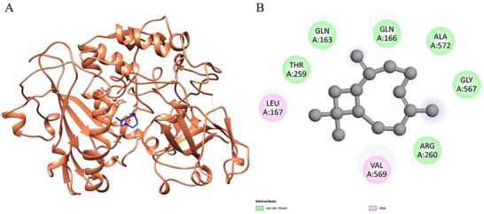 PMC12802534 – cbdv70896-fig-0004