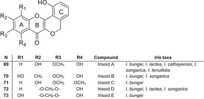 PMC12780939 – cbdv70800-fig-0007