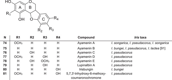 PMC12780939 – cbdv70800-fig-0008