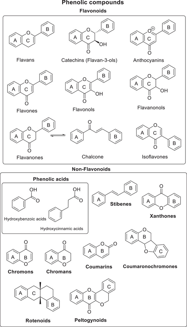 PMC12780939 – cbdv70800-fig-0002