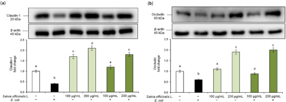 PMC12781621 – cbdv70811-fig-0006