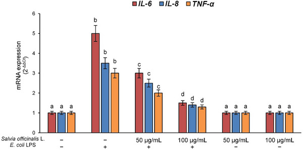 PMC12781621 – cbdv70811-fig-0003