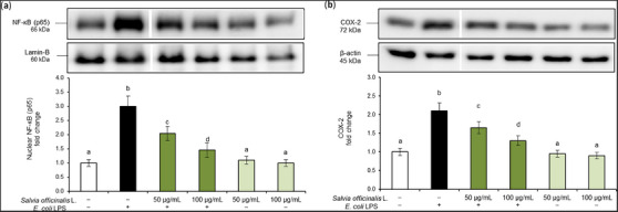PMC12781621 – cbdv70811-fig-0002