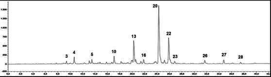 PMC12781621 – cbdv70811-fig-0001