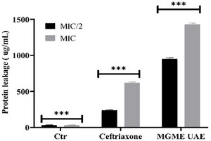 PMC12781048 – cbdv70828-fig-0004