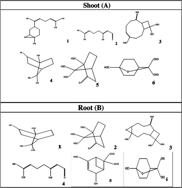PMC12761355 – cbdv70666-fig-0001