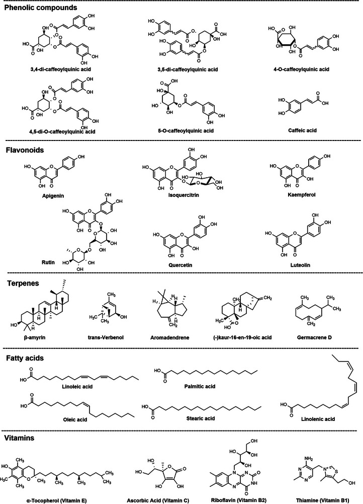 PMC12908930 – cbdv70987-fig-0001
