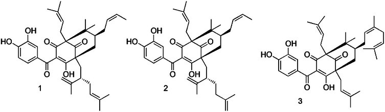 PMC12812226 – cbdv70893-fig-0001