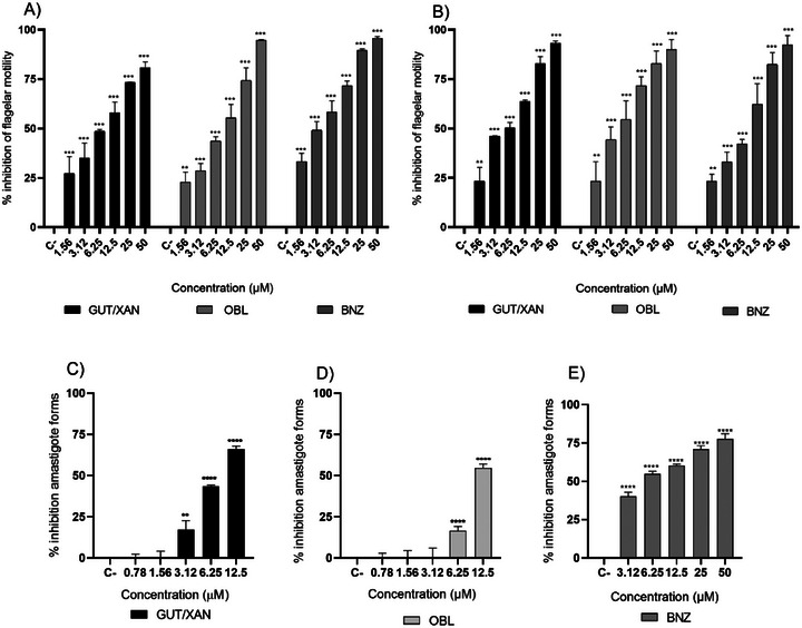 PMC12812226 – cbdv70893-fig-0003