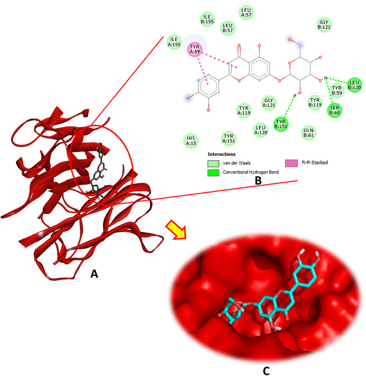 PMC12761346 – cbdv70650-fig-0005
